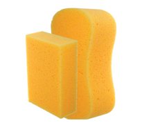Sponges.png